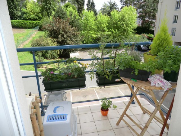 Offres de location Appartement Limoges 87000